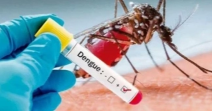 Dengue claims nine more lives in a day