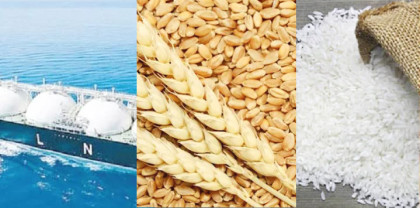Government to import 50,000 MT of non-basmati rice, 2.20 lakh MT of wheat, and 2.30 lakh MT of fertiliser.
