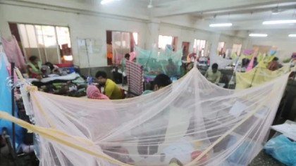 4 more die of dengue