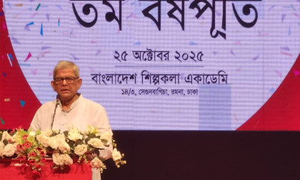 Nizami, Mir Quasem, and Salahuddin Quader were executed on false cases: Fakhrul