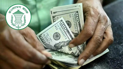 Remittance inflow grows by 11.1 per cent till Oct 26