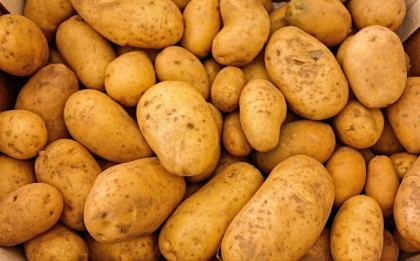 1,407 tons of potatoes were exported to Nepal through Banglabandha
