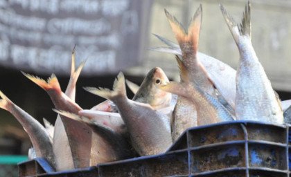 4,000 kg jatka seized in Munshiganj