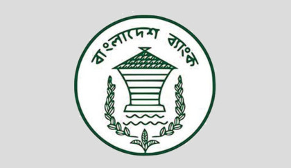 Shareholders of 5 troubled banks to get compensations: BB