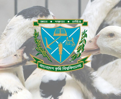 BAU develops first duck plague vaccine to protect nation's duck industry