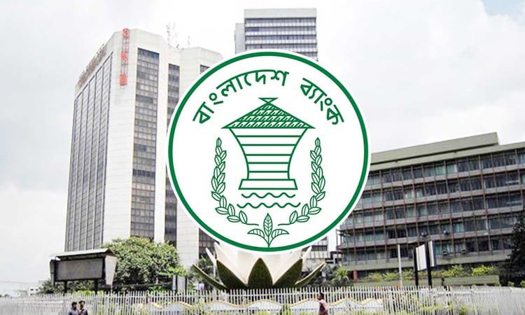 Govt may consider compensating investors in troubled 5-bank merger: BB  