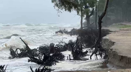 WDB undertakes Tk 624 crore initiative to protect Cox's Bazar beach