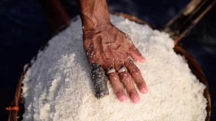 Govt will not approve importing salt: Industries Secretary