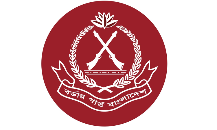 BGB seizes smuggled goods worth Tk4 crore in Cumilla