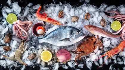 BB regulates gross weights for frozen fish subsidies for expo