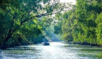 Bangladesh, France launches Sundarbans conservation initiative