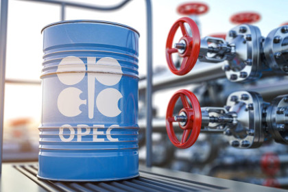 OPEC+ Holds Oil Output Steady After Strategically Successful Year