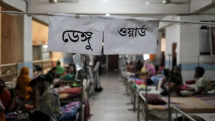 Five dengue patients die, and 636 new cases are discovered overnight.