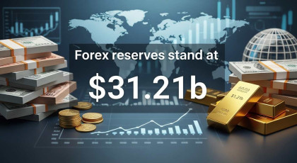 Forex reserves stand at $31.21b