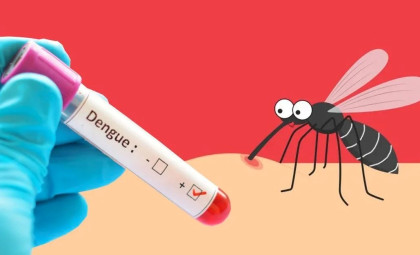 Three dengue patients die; 421 fresh cases detected overnight