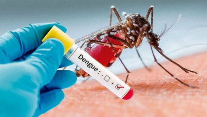 377 new dengue cases were detected overnight  