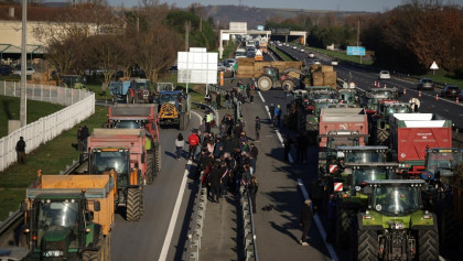 ‘Stop the slaughter’: French farmers block roads over cow disease cull