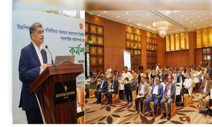 Integrated approach needed to address challenges in higher education: Dr Abrar