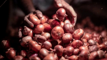 Onion import permission to be further enhanced