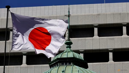 Japan plaintiffs file suit against govt in landmark climate case: lawyer