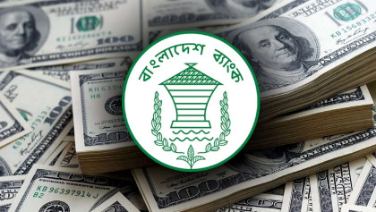 Forex reserves stand at $32.72b