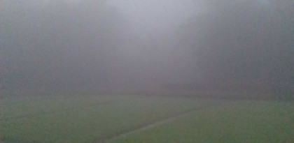 Cold wave in 17 districts, forecasted dense fog
