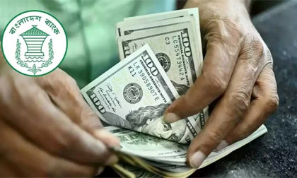 Expatriates remitted $32.82 billion in 2025