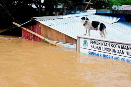 Indonesia flood kills 16, displaces hundreds