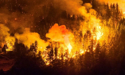 Argentina wildfire burns over 5,500 hectares: governor