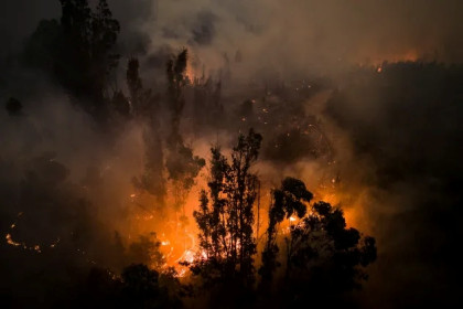 Raging wildfires in Chile prompt evacuation of 20,000 residents