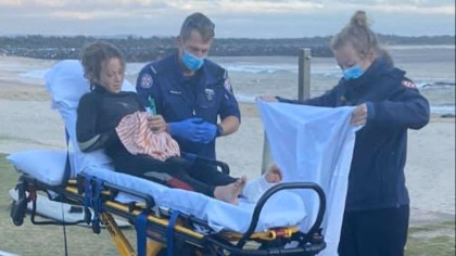 Shark mauls teenage boy in Sydney Harbour