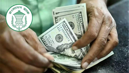 56.3pc growth of remittance inflow till 17 Jan