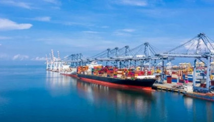 Japan's exports to US fall as tariffs bite