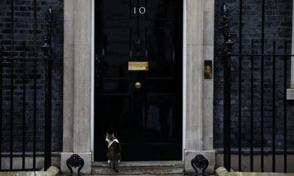 Larry the cat turns 15 at Britain’s 10 Downing Street