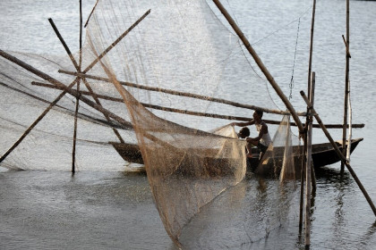 Govt imposes two-month Meghna fishing ban to boost hilsa production