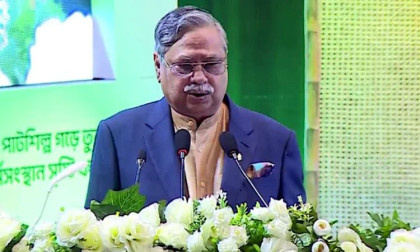 The president urges development of jute sector