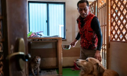 From nuclear cleanup to caring for abandoned pets