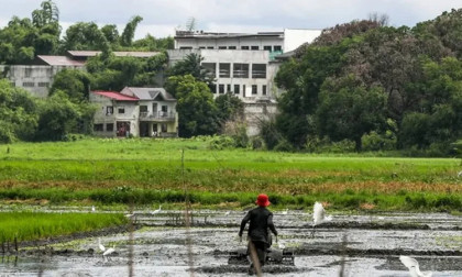 Global food security fears rise as fertiliser supply hit