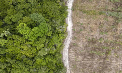 Brazil unveils strategy to cut deforestation