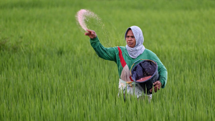 Iran war disrupts fertiliser supply, raising global food and energy crisis