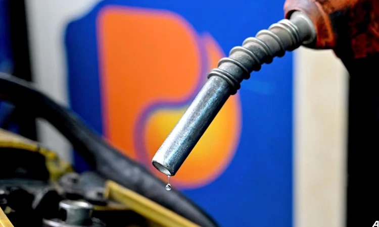 Norway cuts fuel taxes to ease price pressure
