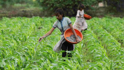 Gas disruption cuts India's fertiliser output by 25%