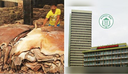 Bangladesh Bank orders Eid rawhide financing support