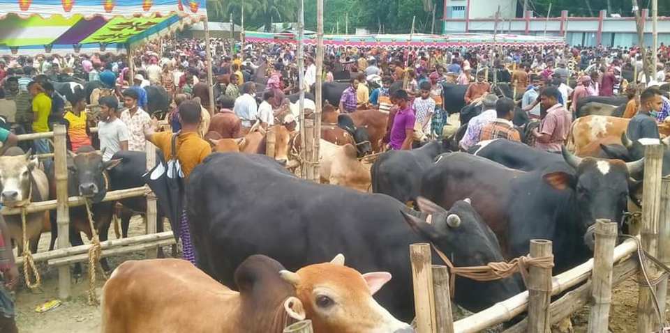 Eid cattle markets to get fake currency verification booths: Bangladesh Bank