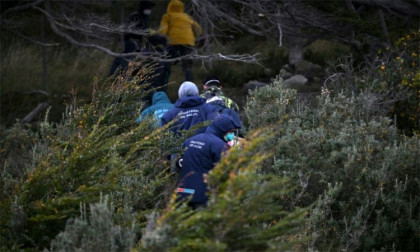 Argentine team begins ecological trapping to trace hantavirus sources