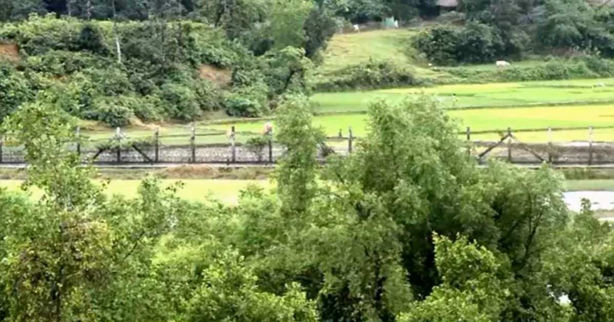 Landmine explosion kills three Bangladeshis near Myanmar border