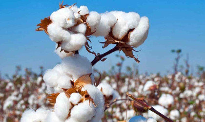 Bangladesh’s apparel sector to get tariff cuts under US cotton plan