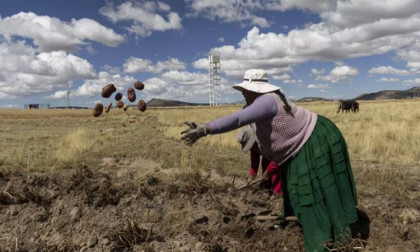 Peru runoff election resonates bitter response in neglected Highland