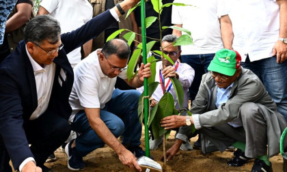 PM launches nationwide programme to plant 25 crore trees