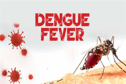 101 new dengue patients identified nationwide overnight